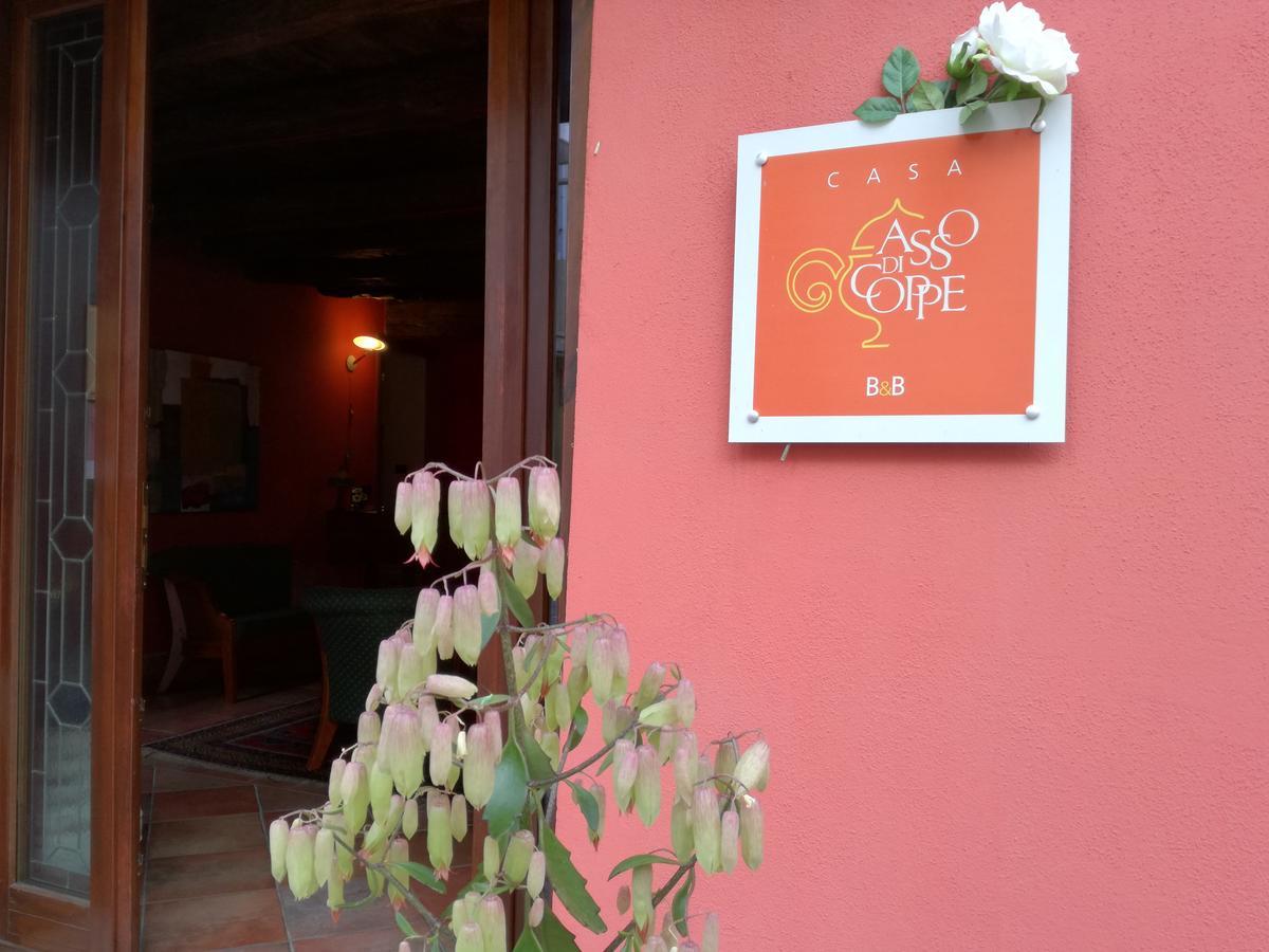 Casa Asso Di Coppe B&B 알바 외부 사진